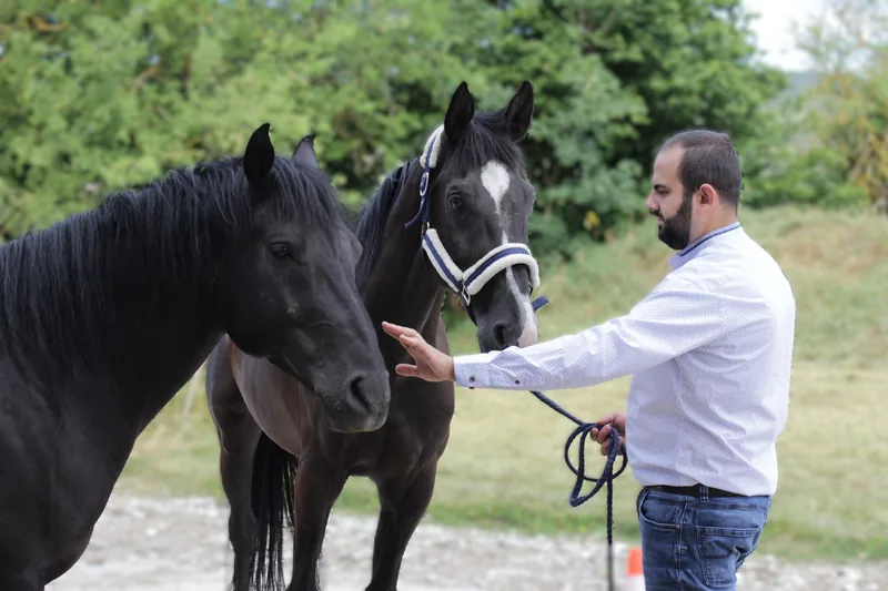 Begegnung zwischen Mensch und Pferd auf dem Hof